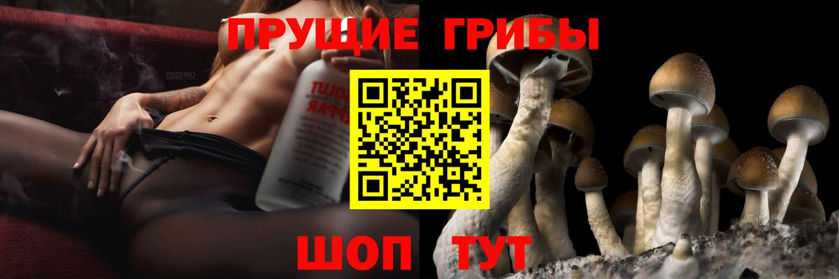 Галлюциногенные грибы MAGIC MUSHROOMS  Галлюциногенные грибы Psilocybine cubensis  Вход с VPN  Минеральные Воды 